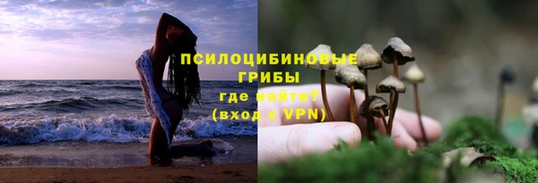 бошки Коряжма